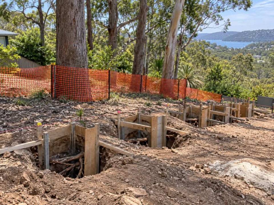 Representative image of hand-dug pier holes beside protected trees on a development site