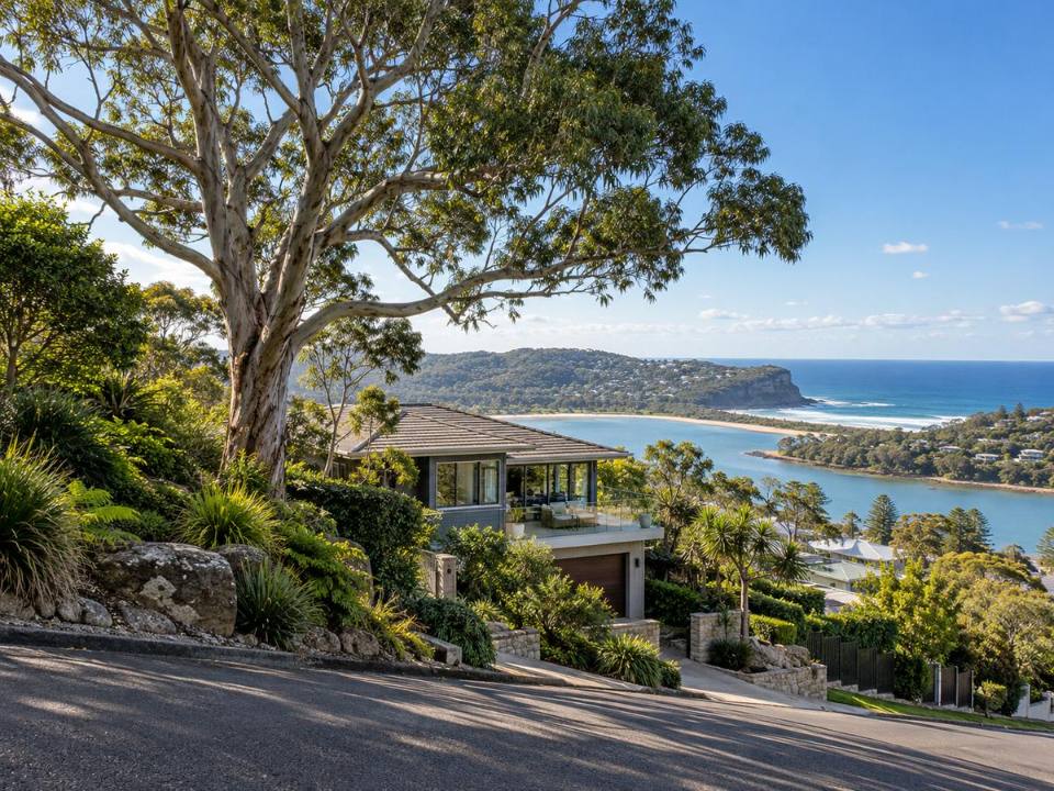 Large tree above a home in Narrabeen Ward on the Northern Beaches