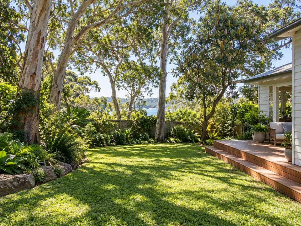 Established native trees in a Northern Beaches garden