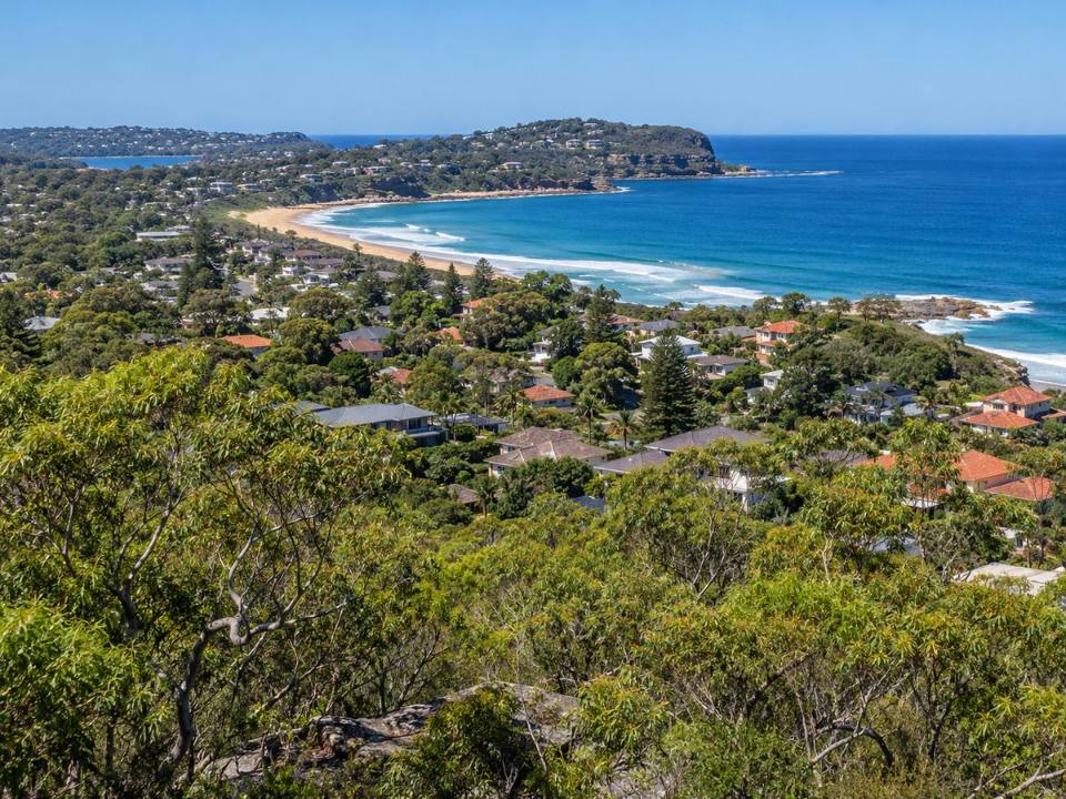 Native trees above a Northern Beaches coastline and suburbs