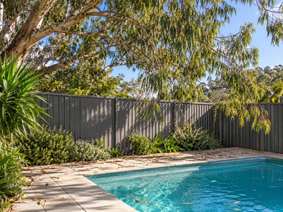 Neighbour's tree branches overhanging a Colorbond boundary fence