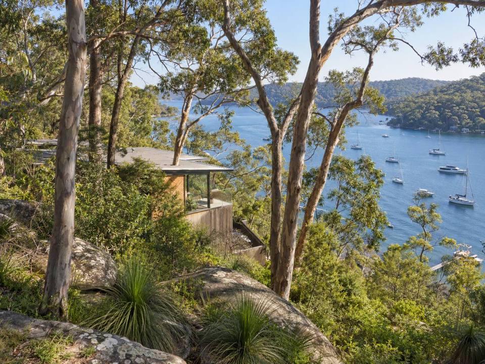 Trees on a steep bush block in Pittwater Ward on the Northern Beaches