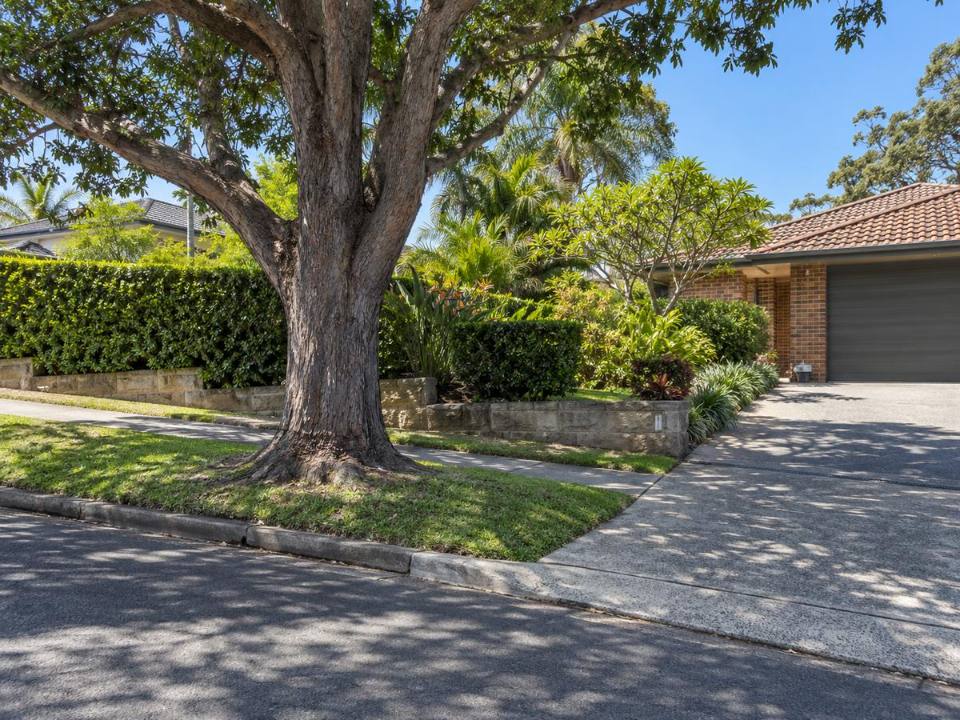 Mature street tree beside a driveway and brick home in an established Northern Beaches street
